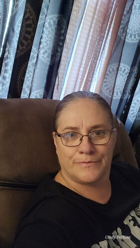 Cindy Perkins Profile