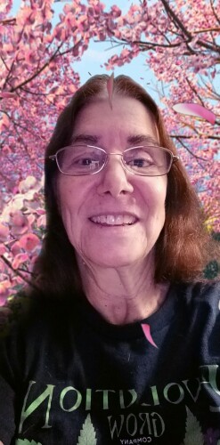 Cindy Gorrell Profile