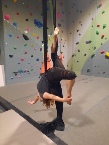 Julie Schinstock Profile