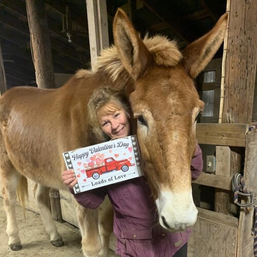 Kimberly Goodwin Profile