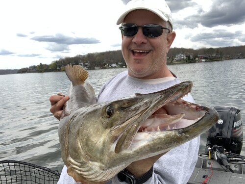 Michael Bellush Profile