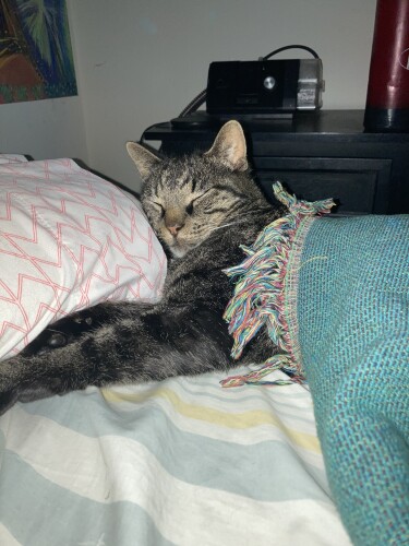 Conan Ferguson Profile