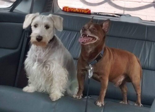 Jalyn Santistevan Profile