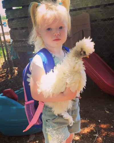 Karen Costner Profile