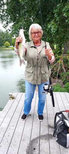 Anderson Donna Profile