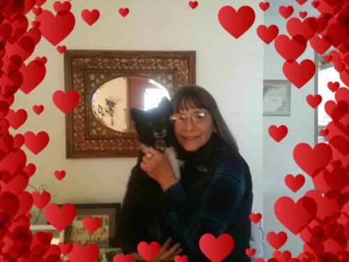 Carolina Cruz Profile