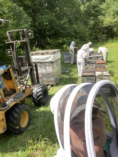 Jennifer Whilden Profile