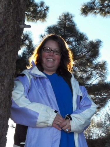 Robin Collins Profile