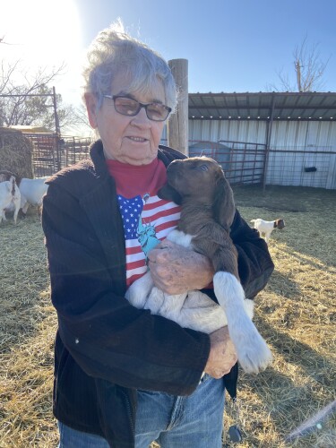 Billie Kingston Profile