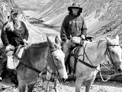 kerri guthrie Profile