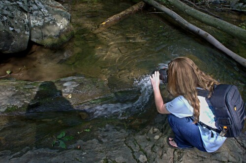 Lauren Dalton Profile