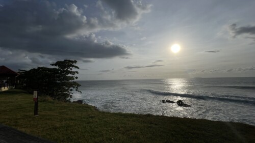 Norma Rodriguez Profile