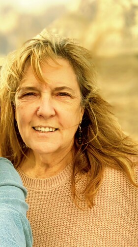 Constance Hays Profile