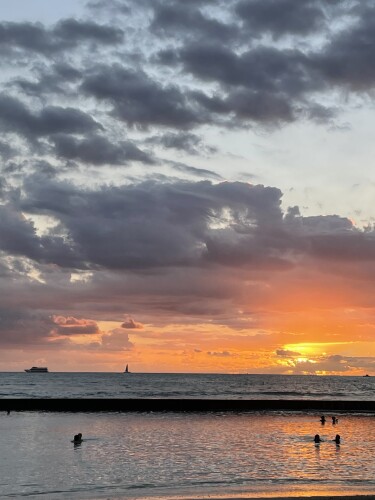 Magnolia Rojo Profile