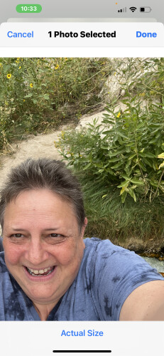 Daniela Ronan Profile