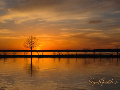 Entry Thumbnail