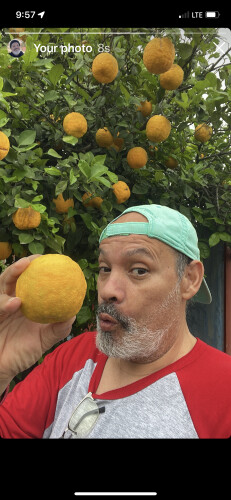 Juan Arteaga Profile