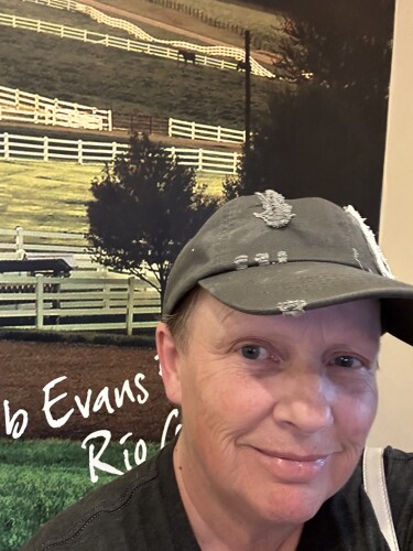 Marsha Tipton Profile