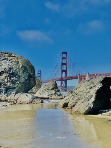 José Alberto Pineda Hernández Profile