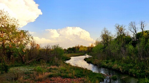 Lillian Fisher Profile