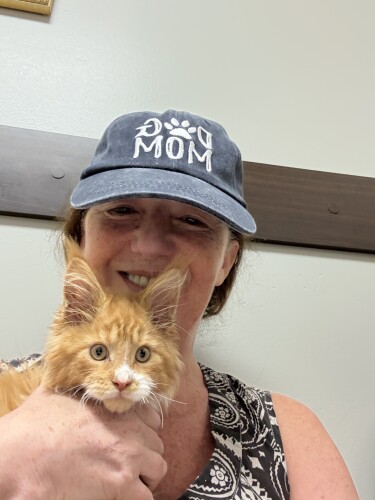 Suzanne Langley Profile