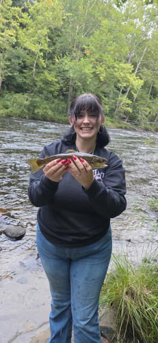 Madison Estes Profile