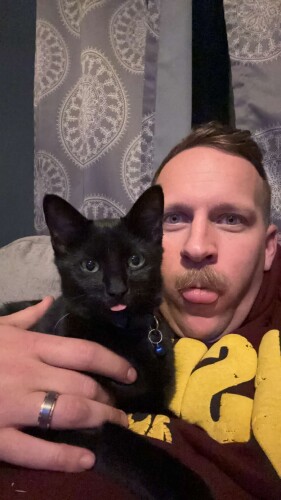 Samuel Colvin Profile