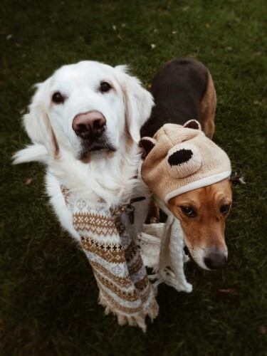 Taylor Brueggen Profile