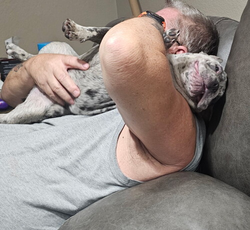 Harrison Lane Profile