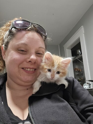 Natasha whittemore Profile