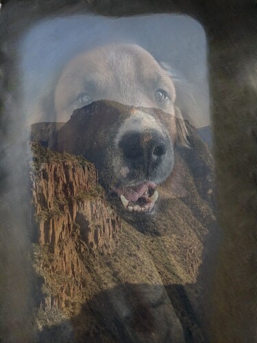 Julienne Holmes Profile