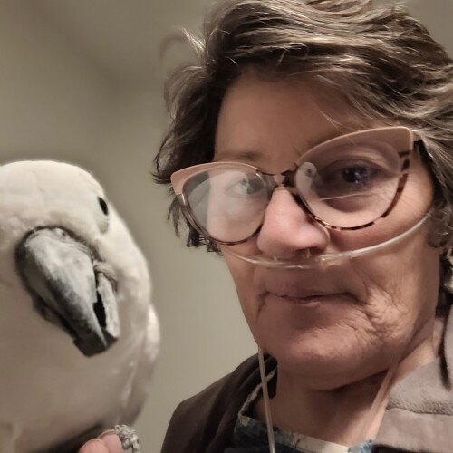 Maura Ann Lynn Profile