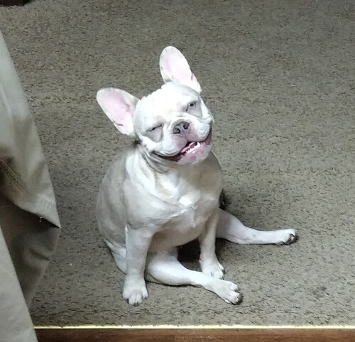 Beth Heisner Profile