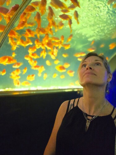 Tricia Brink Profile