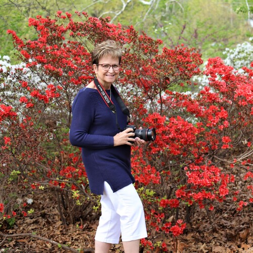 Patricia Cantrell Profile