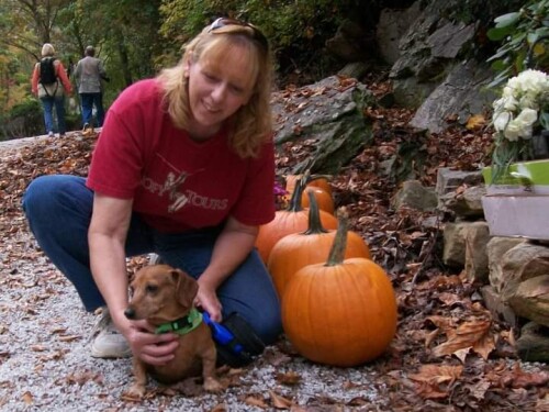 Elizabeth Booth Profile