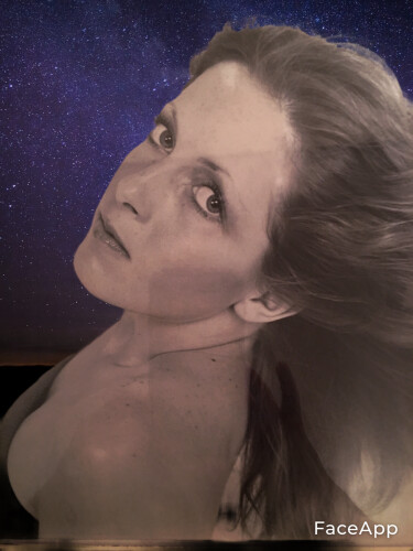 Ginger Hunter Profile