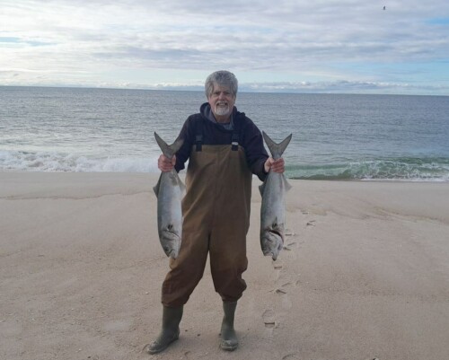 Richard Wein Profile