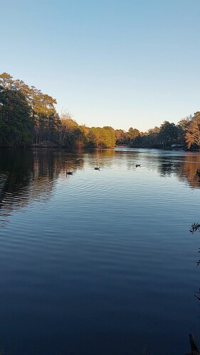 Matamoros Helbuth Profile