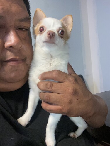 David Salcido Profile