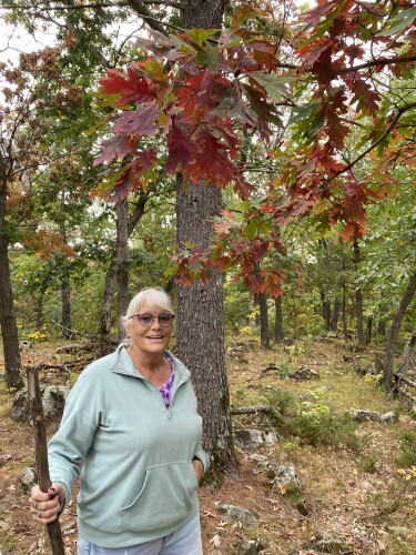 Cynthia Gjestvang Profile