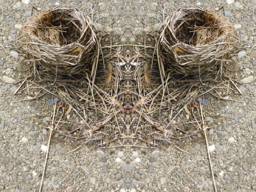 Lorena Conway Profile