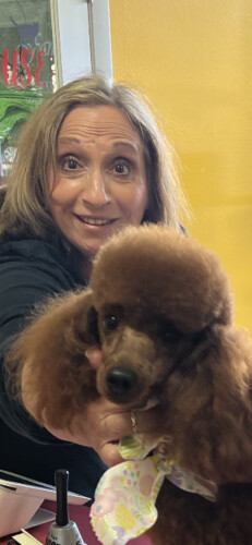 Lisa Galanter Profile