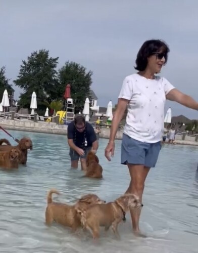 deb corcoran Profile