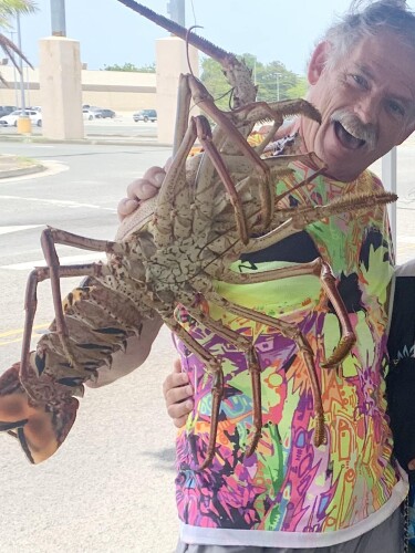 hallgarth Rudy j Profile