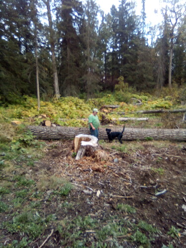 Ron McCleary Profile