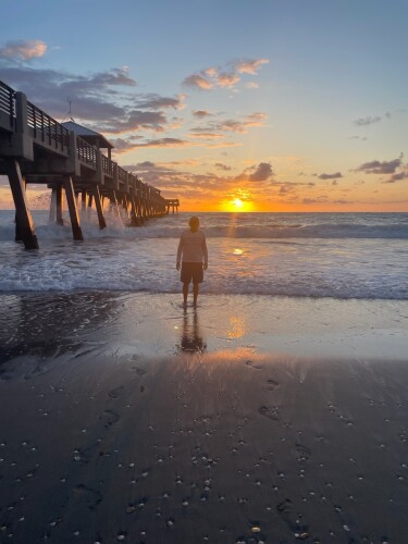 Bernard Brehier Profile