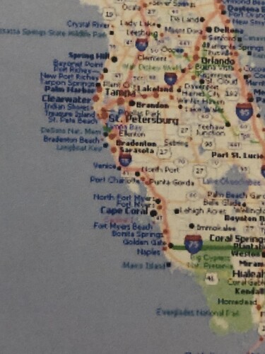 Laura Stephens-McNeil Profile