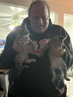 Martin Diener Profile