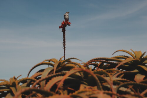 Bryan Arredondo Profile